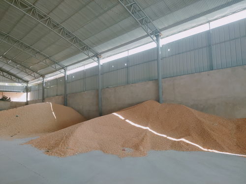 中國銀行甘肅省分行 精準(zhǔn)服務(wù)涉農(nóng)企業(yè)發(fā)展 高效助力 和美鄉(xiāng)村 創(chuàng)建