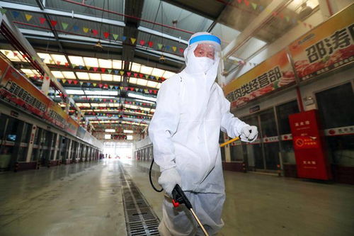 保安全 穩(wěn)供應(yīng),上海農(nóng)產(chǎn)品交易市場加強疫情防控和貨源保障