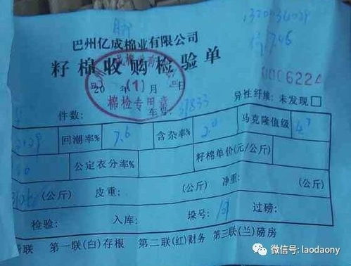 棉花 玉米 打瓜 葵花及其他農產品交易價格一覽